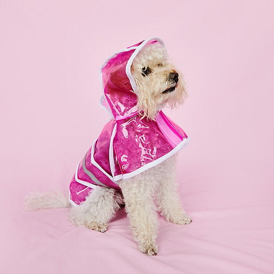 Cute best sale dog raincoat