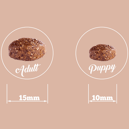 THE GOODSTUFF Dry Puppy-Junior Dogs Food | Salmon | 2.5 kg